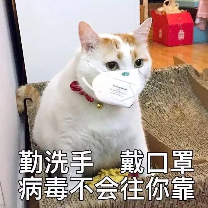 DƬ